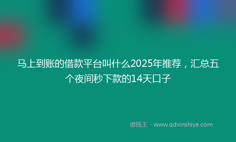 马上到账的借款平台叫什么2025年推荐，汇总五个夜间秒下款的14天口子