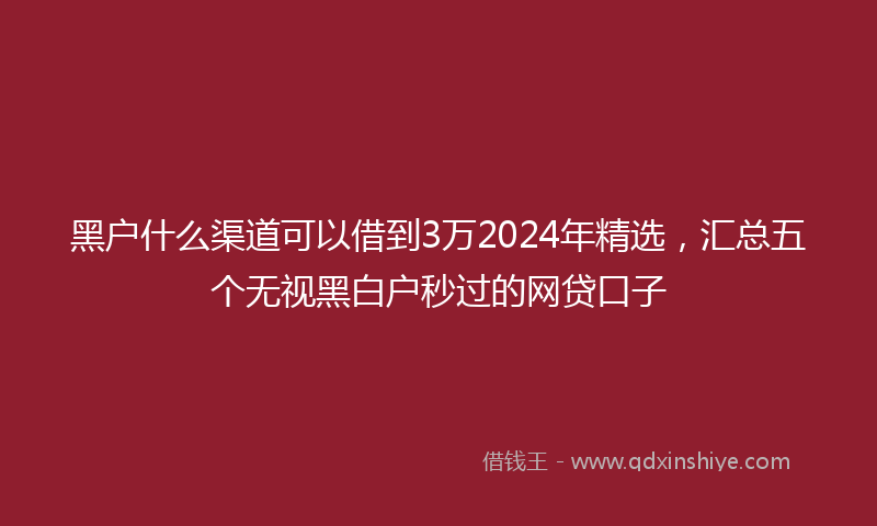 黑户什么渠道可以借到3万2024年精选，汇总五个无视黑白户秒过的网贷口子
