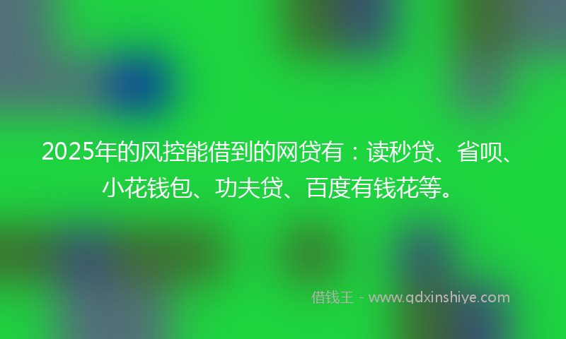 2025年的风控能借到的网贷有：读秒贷、省呗、小花钱包、功夫贷、百度有钱花等。