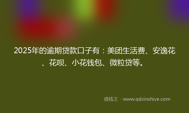 2025年的逾期贷款口子有：美团生活费、安逸花、花呗、小花钱包、微粒贷等。