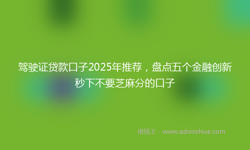 驾驶证贷款口子2025年推荐，盘点五个金融创新秒下不要芝麻分的口子