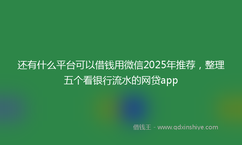 还有什么平台可以借钱用微信2025年推荐，整理五个看银行流水的网贷app