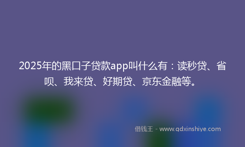 2025年的黑口子贷款app叫什么有：读秒贷、省呗、我来贷、好期贷、京东金融等。