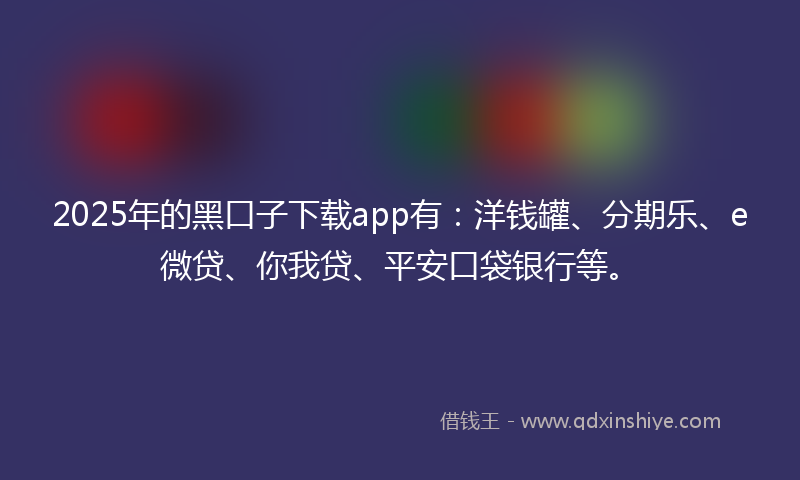 2025年的黑口子下载app有：洋钱罐、分期乐、e微贷、你我贷、平安口袋银行等。