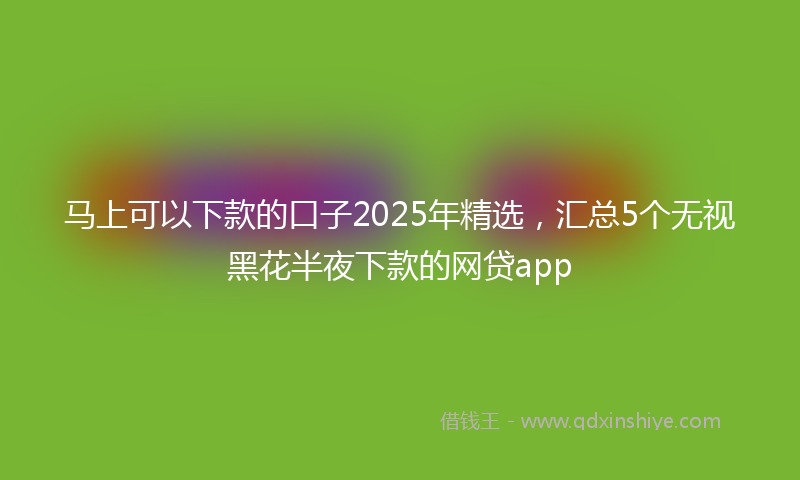 马上可以下款的口子2025年精选，汇总5个无视黑花半夜下款的网贷app