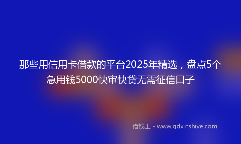 那些用信用卡借款的平台2025年精选，盘点5个急用钱5000快审快贷无需征信口子