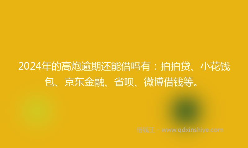 2024年的高炮逾期还能借吗有：拍拍贷、小花钱包、京东金融、省呗、微博借钱等。