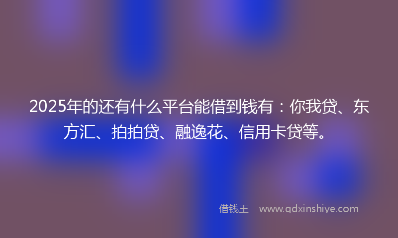 2025年的还有什么平台能借到钱有：你我贷、东方汇、拍拍贷、融逸花、信用卡贷等。