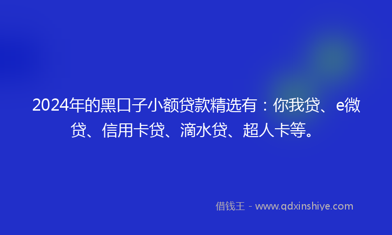 2024年的黑口子小额贷款精选有：你我贷、e微贷、信用卡贷、滴水贷、超人卡等。