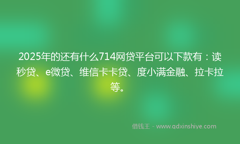 2025年的还有什么714网贷平台可以下款有：读秒贷、e微贷、维信卡卡贷、度小满金融、拉卡拉等。