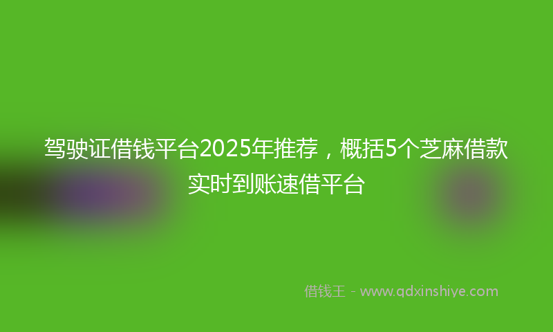 驾驶证借钱平台2025年推荐，概括5个芝麻借款实时到账速借平台