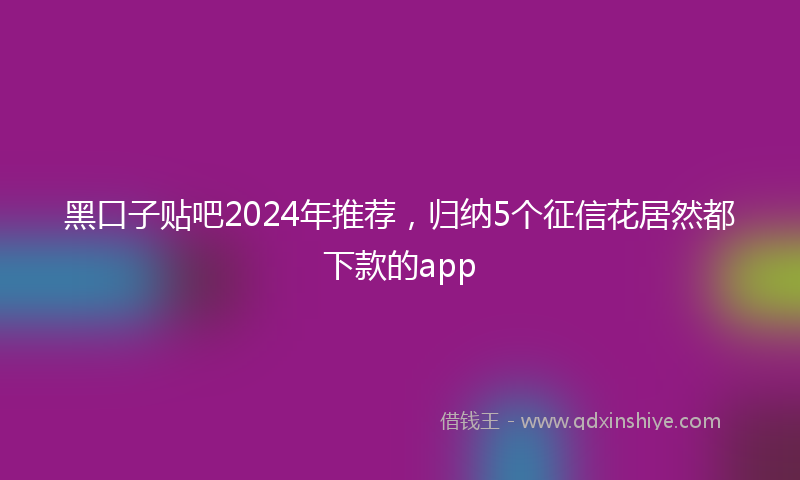 黑口子贴吧2024年推荐，归纳5个征信花居然都下款的app