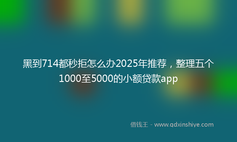 黑到714都秒拒怎么办2025年推荐，整理五个1000至5000的小额贷款app