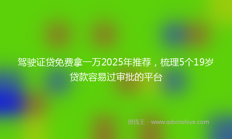 驾驶证贷免费拿一万2025年推荐，梳理5个19岁贷款容易过审批的平台