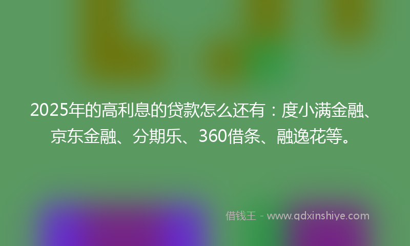 2025年的高利息的贷款怎么还有：度小满金融、京东金融、分期乐、360借条、融逸花等。
