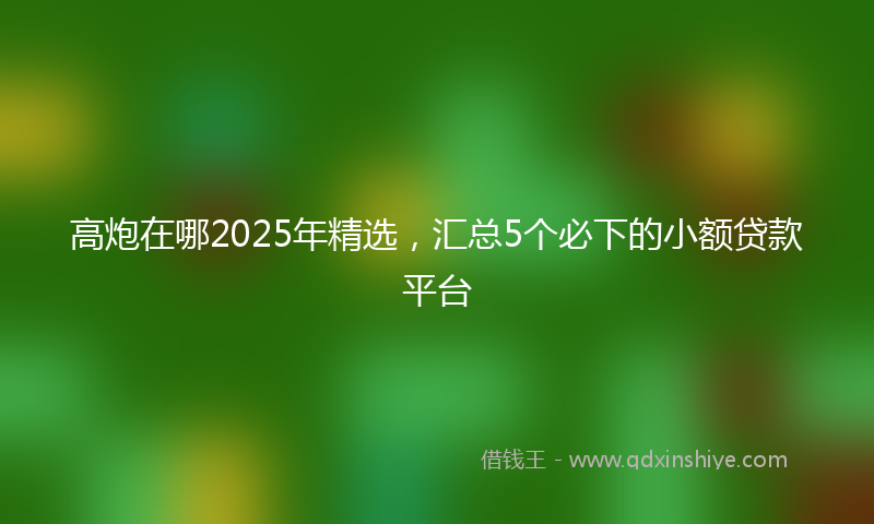 高炮在哪2025年精选，汇总5个必下的小额贷款平台