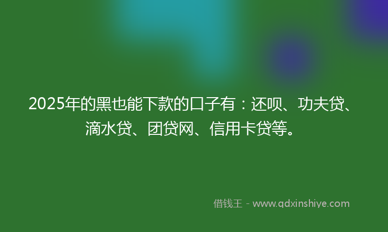 2025年的黑也能下款的口子有：还呗、功夫贷、滴水贷、团贷网、信用卡贷等。