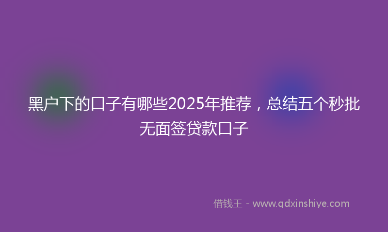 黑户下的口子有哪些2025年推荐，总结五个秒批无面签贷款口子