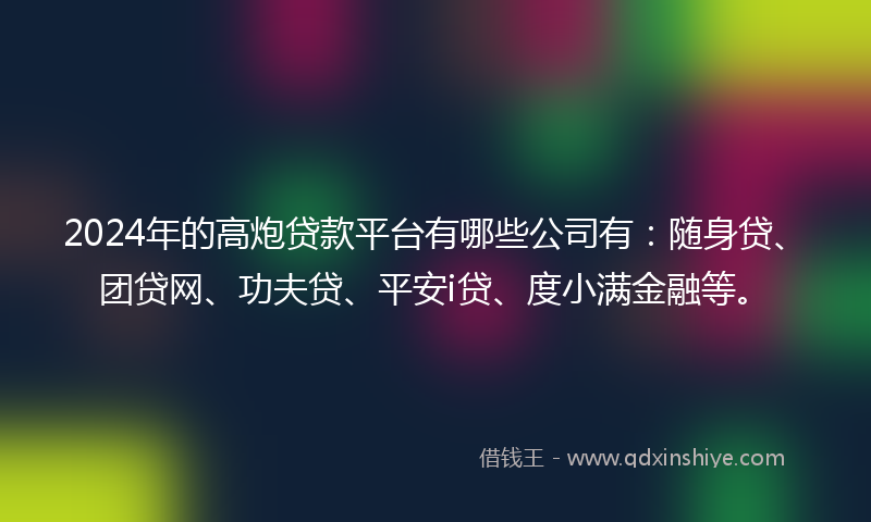2024年的高炮贷款平台有哪些公司有：随身贷、团贷网、功夫贷、平安i贷、度小满金融等。