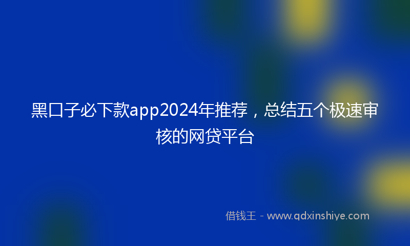 黑口子必下款app2024年推荐，总结五个极速审核的网贷平台