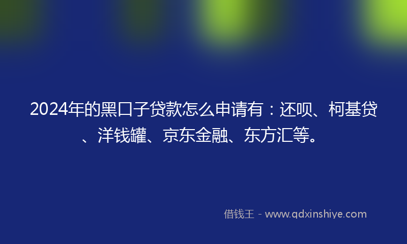 2024年的黑口子贷款怎么申请有：还呗、柯基贷、洋钱罐、京东金融、东方汇等。