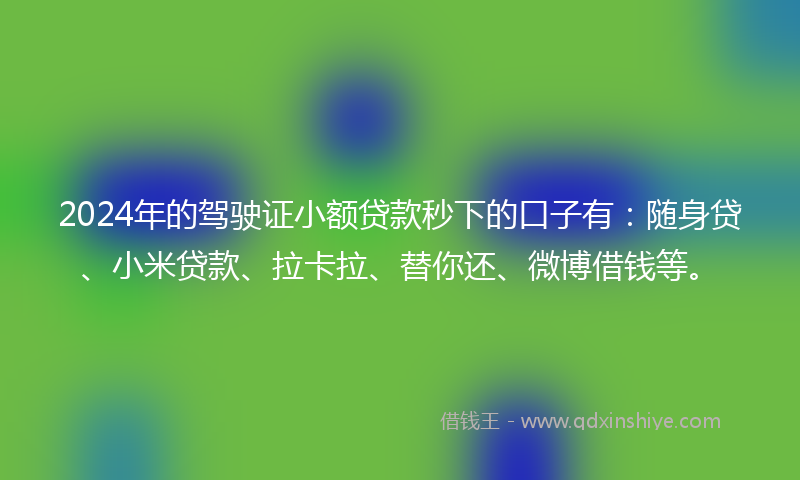 2024年的驾驶证小额贷款秒下的口子有：随身贷、小米贷款、拉卡拉、替你还、微博借钱等。