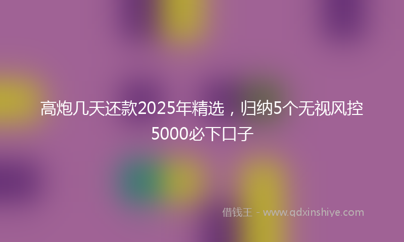 高炮几天还款2025年精选，归纳5个无视风控5000必下口子