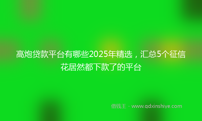 高炮贷款平台有哪些2025年精选，汇总5个征信花居然都下款了的平台