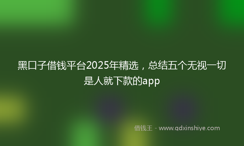 黑口子借钱平台2025年精选，总结五个无视一切是人就下款的app