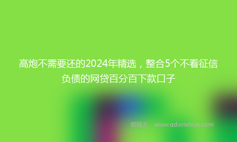 高炮不需要还的2024年精选，整合5个不看征信负债的网贷百分百下款口子