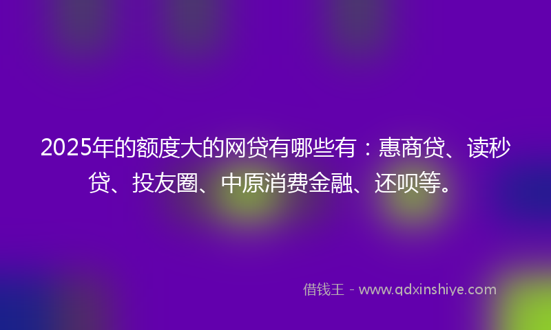 2025年的额度大的网贷有哪些有：惠商贷、读秒贷、投友圈、中原消费金融、还呗等。