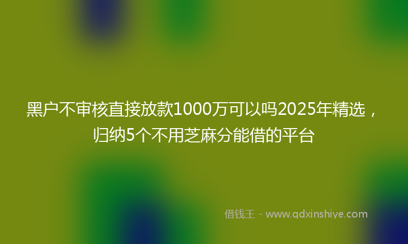 黑户不审核直接放款1000万可以吗2025年精选，归纳5个不用芝麻分能借的平台