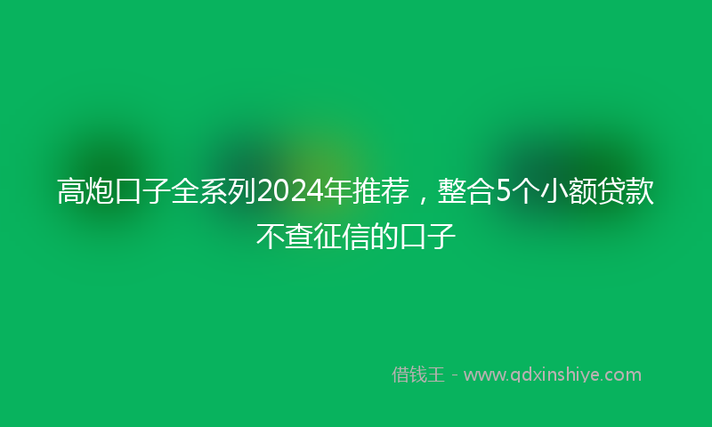 高炮口子全系列2024年推荐，整合5个小额贷款不查征信的口子