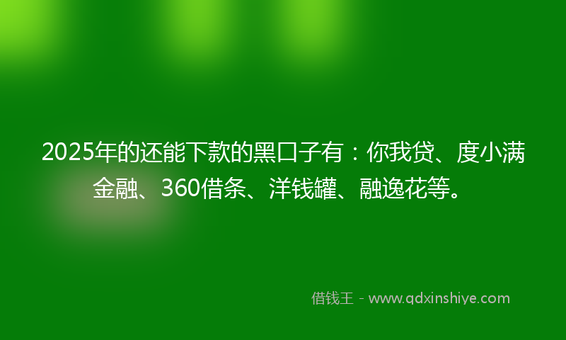 2025年的还能下款的黑口子有：你我贷、度小满金融、360借条、洋钱罐、融逸花等。