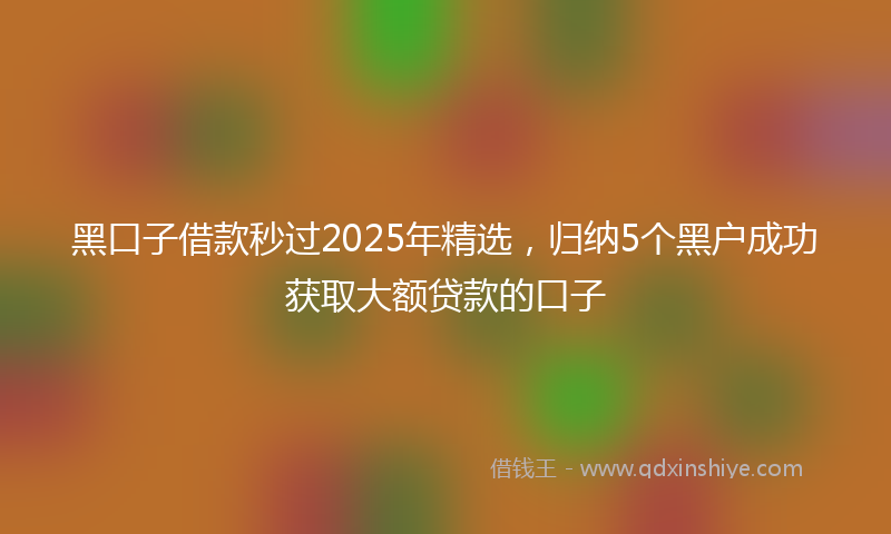 黑口子借款秒过2025年精选，归纳5个黑户成功获取大额贷款的口子