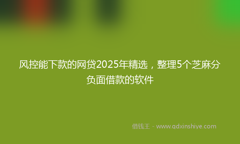 风控能下款的网贷2025年精选，整理5个芝麻分负面借款的软件