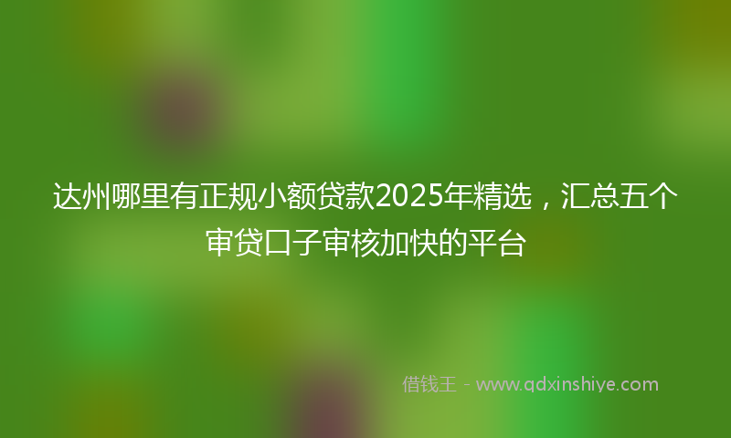 达州哪里有正规小额贷款2025年精选，汇总五个审贷口子审核加快的平台