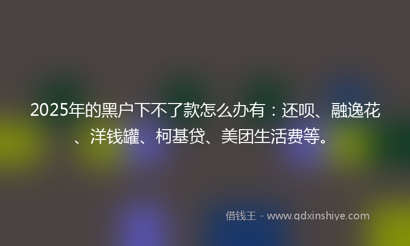 2025年的黑户下不了款怎么办有：还呗、融逸花、洋钱罐、柯基贷、美团生活费等。