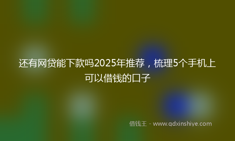 还有网贷能下款吗2025年推荐，梳理5个手机上可以借钱的口子