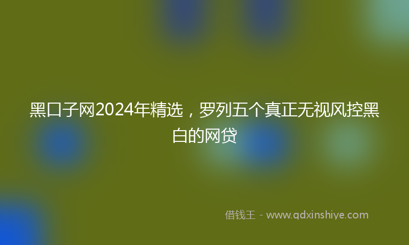 黑口子网2024年精选，罗列五个真正无视风控黑白的网贷