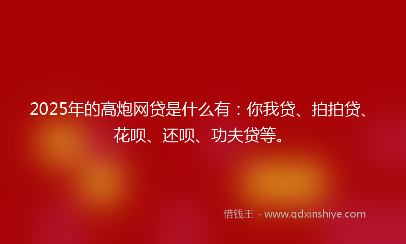 2025年的高炮网贷是什么有：你我贷、拍拍贷、花呗、还呗、功夫贷等。