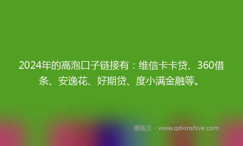 2024年的高泡口子链接有：维信卡卡贷、360借条、安逸花、好期贷、度小满金融等。