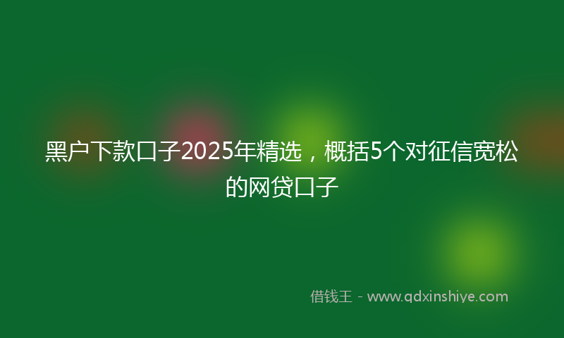 黑户下款口子2025年精选，概括5个对征信宽松的网贷口子