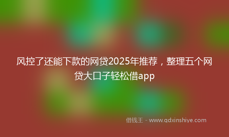 风控了还能下款的网贷2025年推荐，整理五个网贷大口子轻松借app