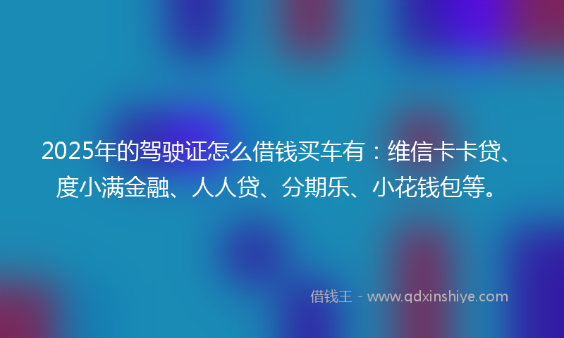 2025年的驾驶证怎么借钱买车有：维信卡卡贷、度小满金融、人人贷、分期乐、小花钱包等。
