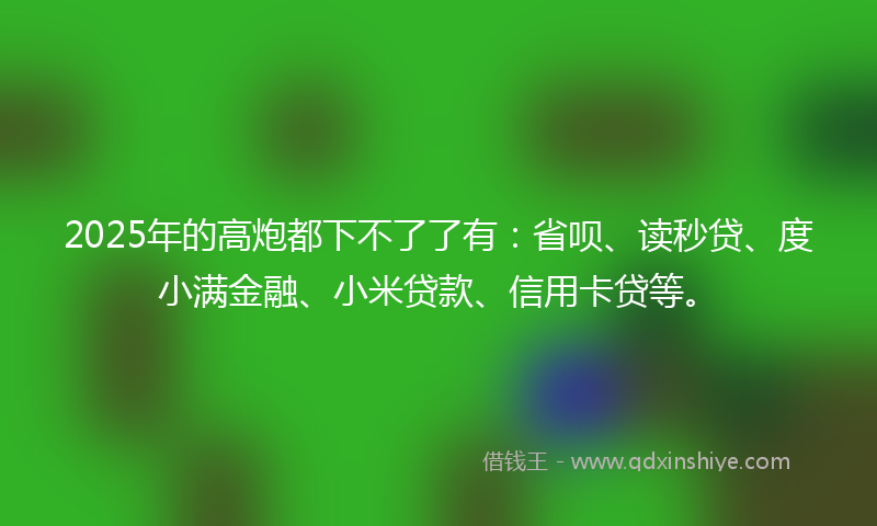 2025年的高炮都下不了了有：省呗、读秒贷、度小满金融、小米贷款、信用卡贷等。