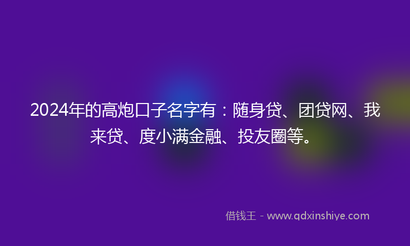 2024年的高炮口子名字有：随身贷、团贷网、我来贷、度小满金融、投友圈等。