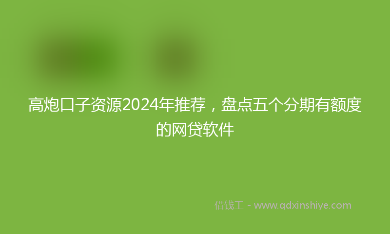 高炮口子资源2024年推荐，盘点五个分期有额度的网贷软件