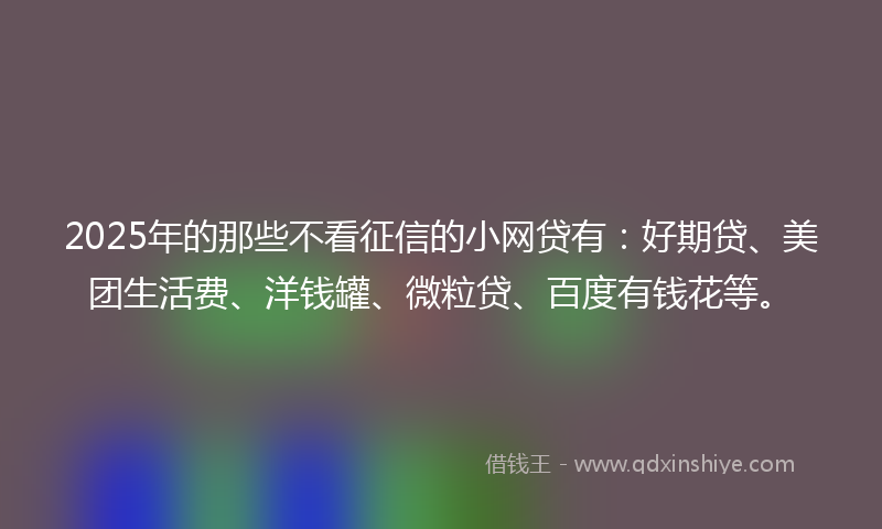 2025年的那些不看征信的小网贷有：好期贷、美团生活费、洋钱罐、微粒贷、百度有钱花等。