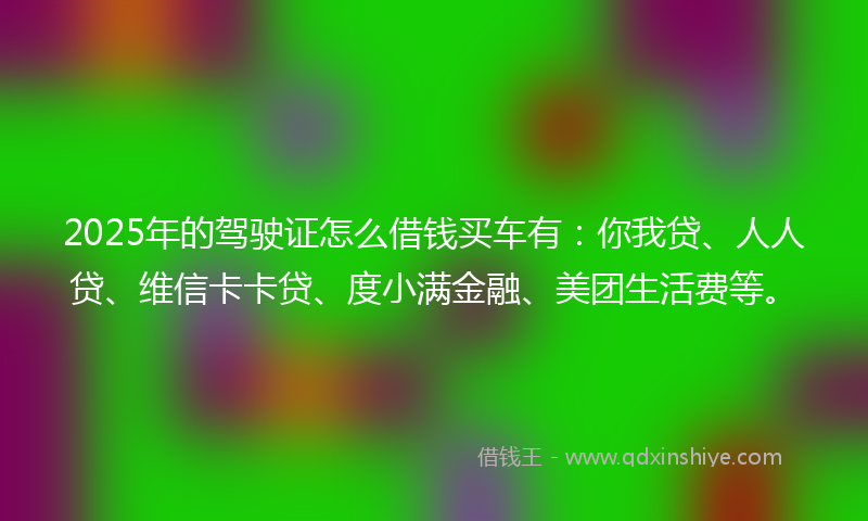 2025年的驾驶证怎么借钱买车有：你我贷、人人贷、维信卡卡贷、度小满金融、美团生活费等。